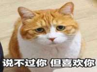 泾河新城影格无限网络科技工作室