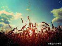 泾河新城影格无限网络科技工作室