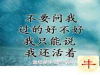 泾河新城影格无限网络科技工作室