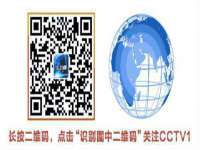 泾河新城影格无限网络科技工作室
