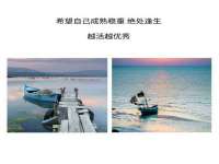 泾河新城影格无限网络科技工作室