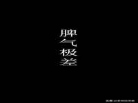 泾河新城影格无限网络科技工作室
