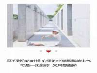 泾河新城影格无限网络科技工作室