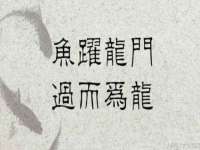 泾河新城影格无限网络科技工作室