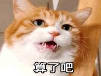 泾河新城影格无限网络科技工作室