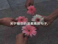 泾河新城影格无限网络科技工作室
