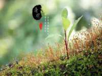 泾河新城影格无限网络科技工作室