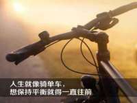 泾河新城影格无限网络科技工作室
