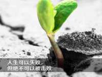 泾河新城影格无限网络科技工作室