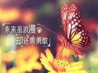 泾河新城影格无限网络科技工作室