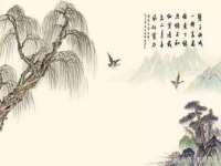 泾河新城影格无限网络科技工作室