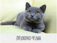 泾河新城影格无限网络科技工作室