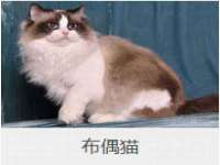 泾河新城影格无限网络科技工作室