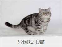 泾河新城影格无限网络科技工作室