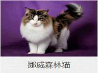 泾河新城影格无限网络科技工作室