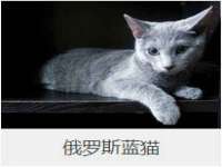 泾河新城影格无限网络科技工作室