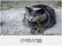 泾河新城影格无限网络科技工作室