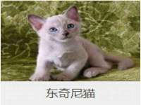 泾河新城影格无限网络科技工作室