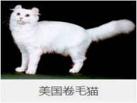 泾河新城影格无限网络科技工作室