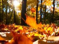 泾河新城影格无限网络科技工作室
