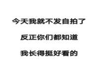泾河新城影格无限网络科技工作室