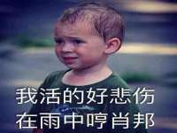 泾河新城影格无限网络科技工作室