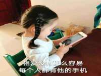 泾河新城影格无限网络科技工作室