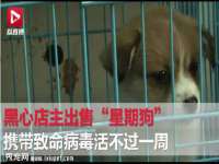 泾河新城影格无限网络科技工作室