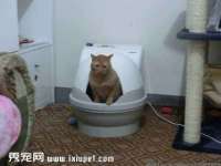 泾河新城影格无限网络科技工作室