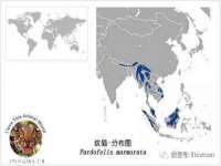泾河新城影格无限网络科技工作室