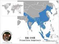 泾河新城影格无限网络科技工作室