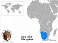 泾河新城影格无限网络科技工作室