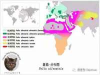 泾河新城影格无限网络科技工作室