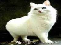 泾河新城影格无限网络科技工作室