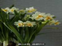 泾河新城影格无限网络科技工作室
