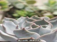 泾河新城影格无限网络科技工作室