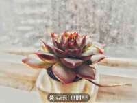 泾河新城影格无限网络科技工作室