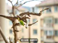 泾河新城影格无限网络科技工作室