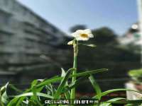 泾河新城影格无限网络科技工作室