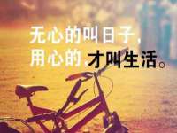 泾河新城影格无限网络科技工作室