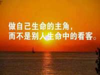 泾河新城影格无限网络科技工作室