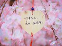 泾河新城影格无限网络科技工作室