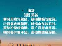 泾河新城影格无限网络科技工作室