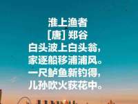 泾河新城影格无限网络科技工作室