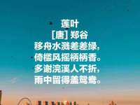 泾河新城影格无限网络科技工作室