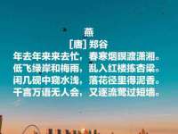 泾河新城影格无限网络科技工作室