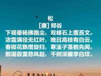 泾河新城影格无限网络科技工作室
