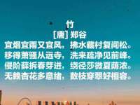 泾河新城影格无限网络科技工作室