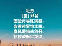 泾河新城影格无限网络科技工作室