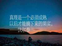 泾河新城影格无限网络科技工作室